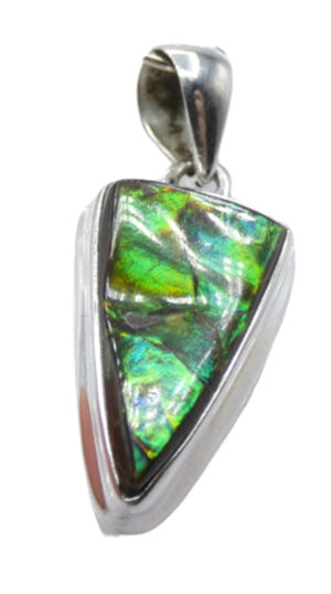 AMMOLITE