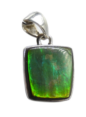 AMMOLITE