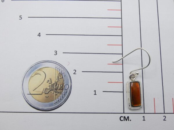 ammolite ammea02 1 scaled 1