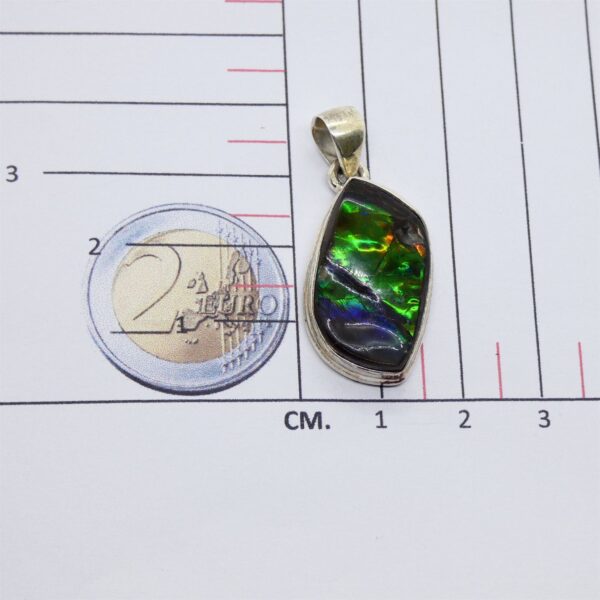 ammolite ammp02 3 scaled 1