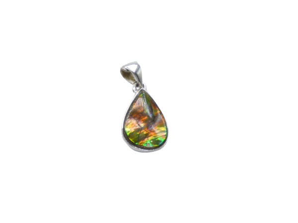 ammolite ammp04