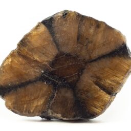 chiastolite