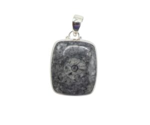 Pendente in Corallo Fossile Nero     CNFP01