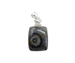 Pendente in Corallo Fossile Nero rettangolare    CNFP02