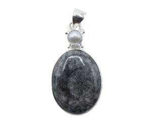 Pendente in Corallo Fossile Nero ovale     CNFP03