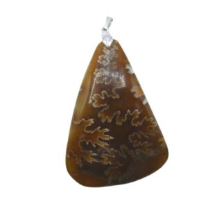 Pendente in Ammonite arancione   AMOP01