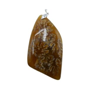 Pendente in Ammonite arancione   AMOP02
