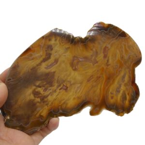 Fetta di Agata marrone