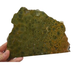 Fetta di Diaspro Oceano verde