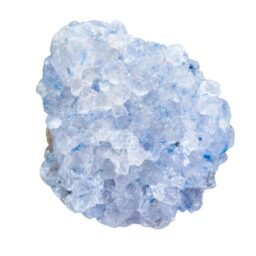 celestina