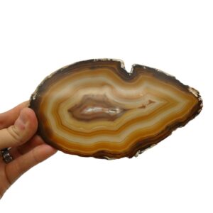 Fetta di Agata arancione