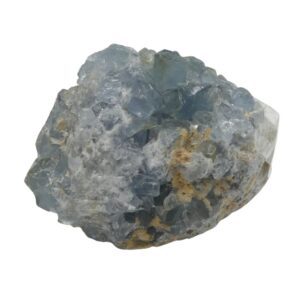 Celestina celff09_1