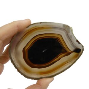 Fetta di Agata marrone e arancione