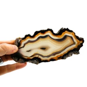 Fetta di Agata bianca, nera e blu