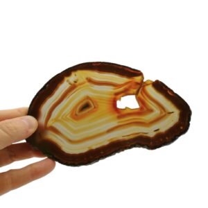 Fetta di Agata arancione e marrone