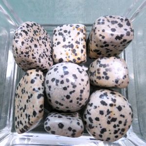 Burattate di Diaspro Dalmata
