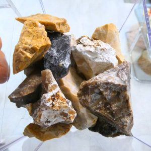Pezzi grezzi di Opale