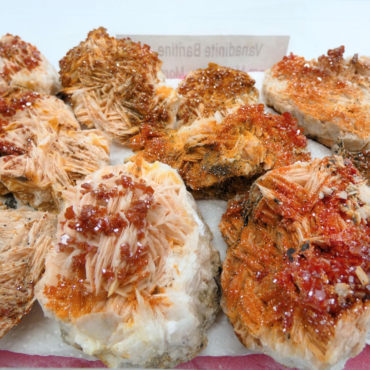 Pezzi grezzi di Vanadinite Baritine 3 Pezzi grezzi di Vanadinite Baritine - immagine 3