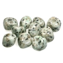 Diaspro kiwi