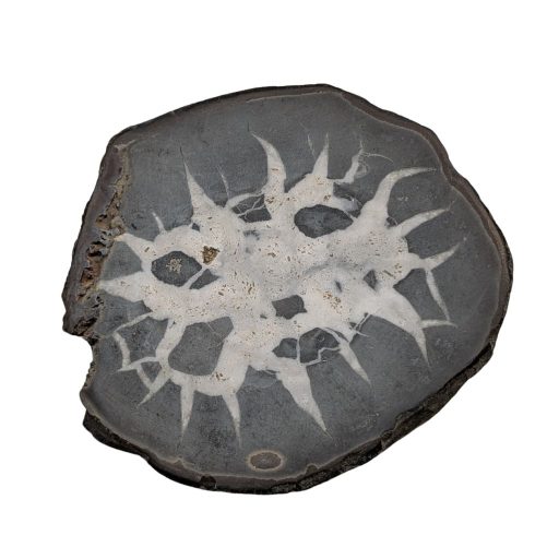 Noduli settariani