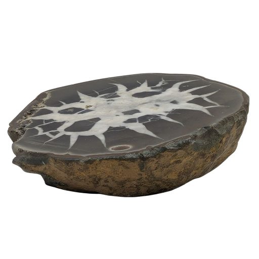 Pezzo di septaria nodulo