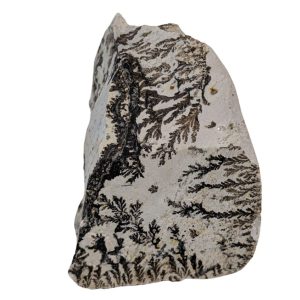 DENDRITE