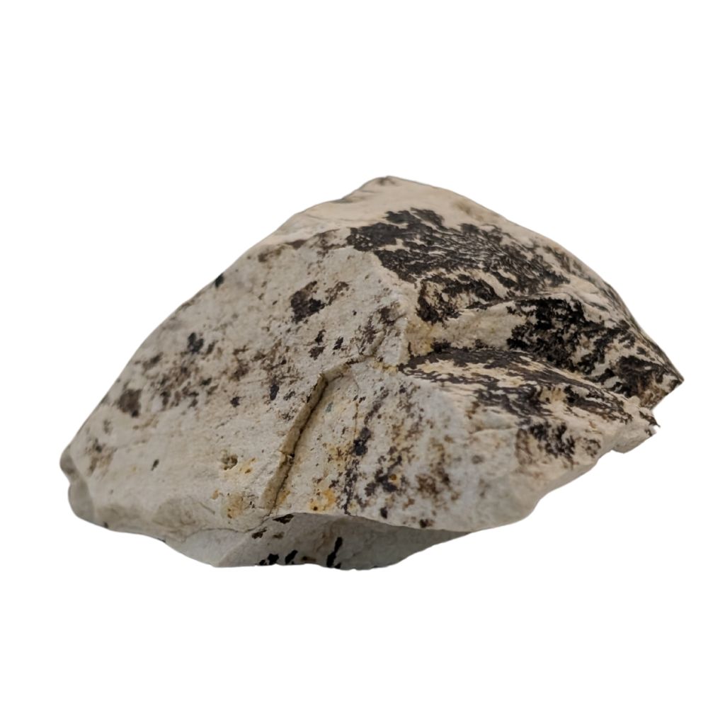 Free form in Dendrite 3 DENDRITE