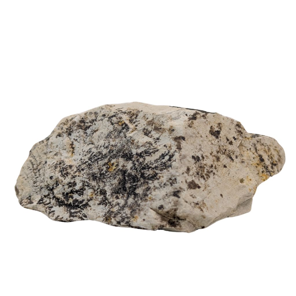 Free form in Dendrite 2 DENDRITE
