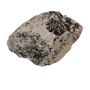 DENDRITE