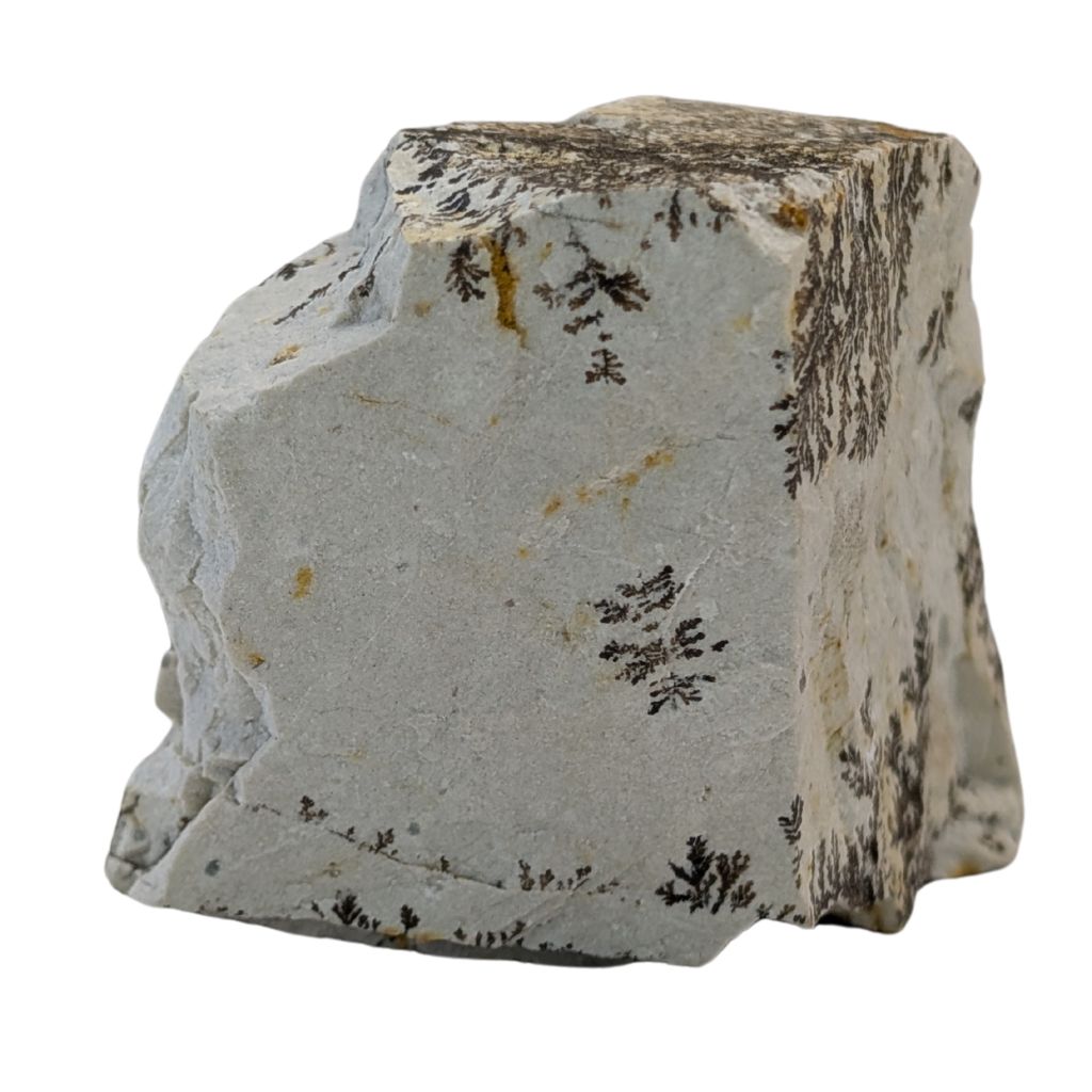 Free form in Dendrite 4 DENDRITE