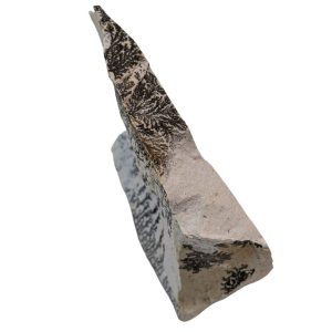 DENDRITE