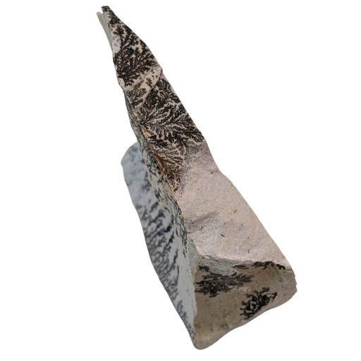 Free form in Dendrite