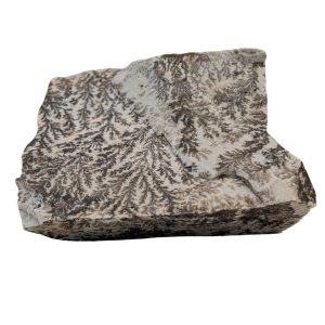 DENDRITE