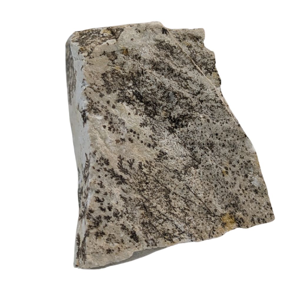 Free form in Dendrite 3 DENDRITE