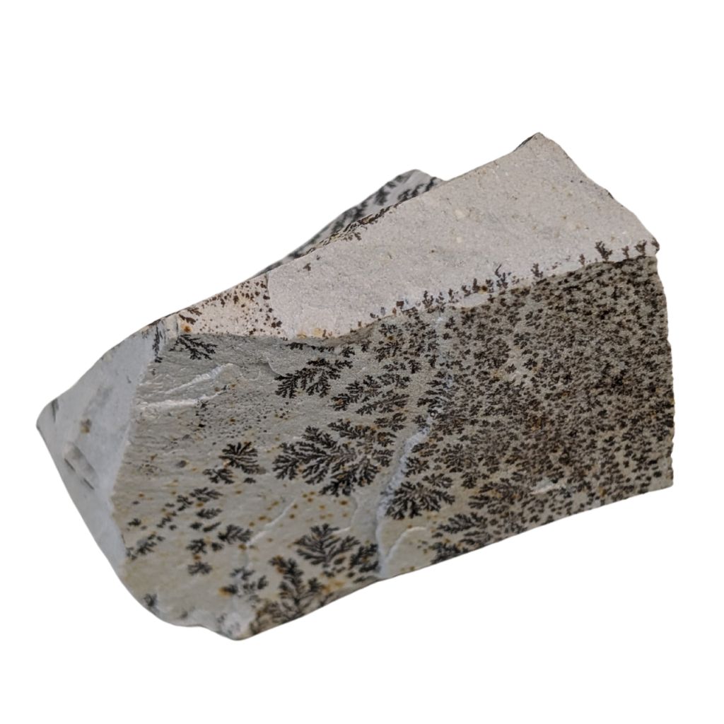 Free form in Dendrite 4 DENDRITE