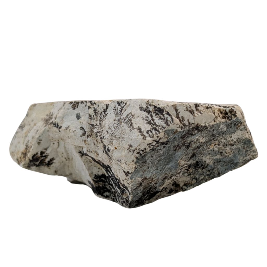 Free form in Dendrite 2 DENDRITE