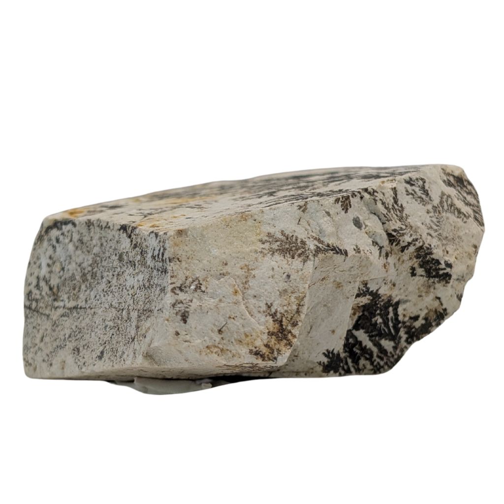 Free form in Dendrite 3 DENDRITE