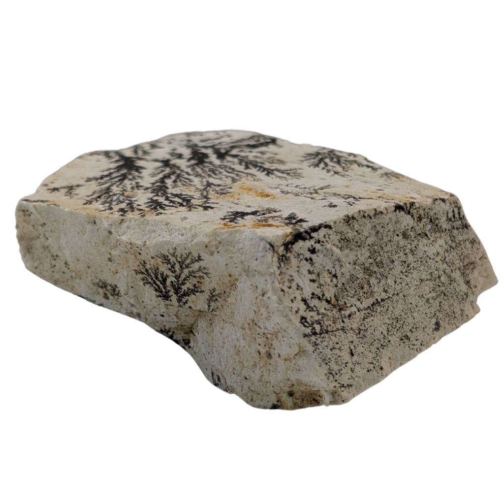Free form in Dendrite 4 DENDRITE