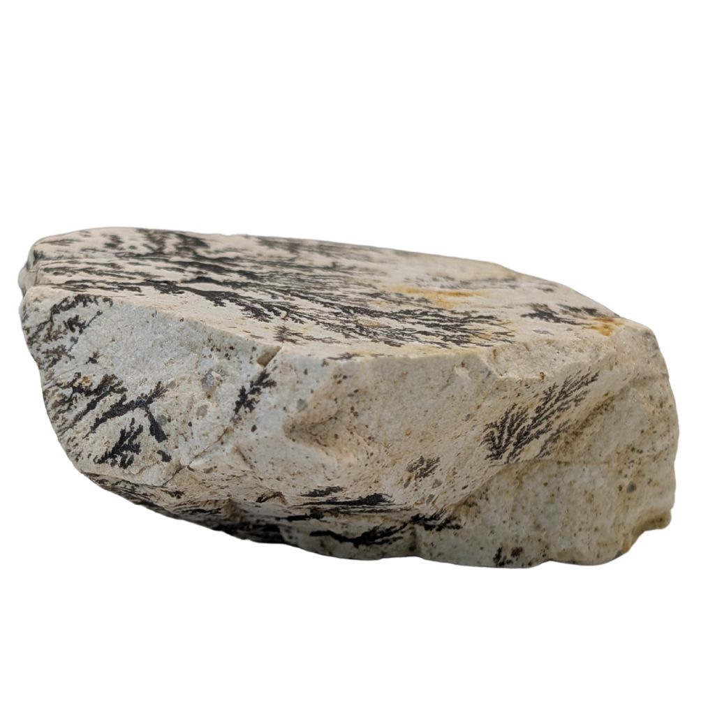 Free form in Dendrite 5 DENDRITE