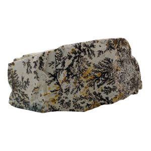 DENDRITE