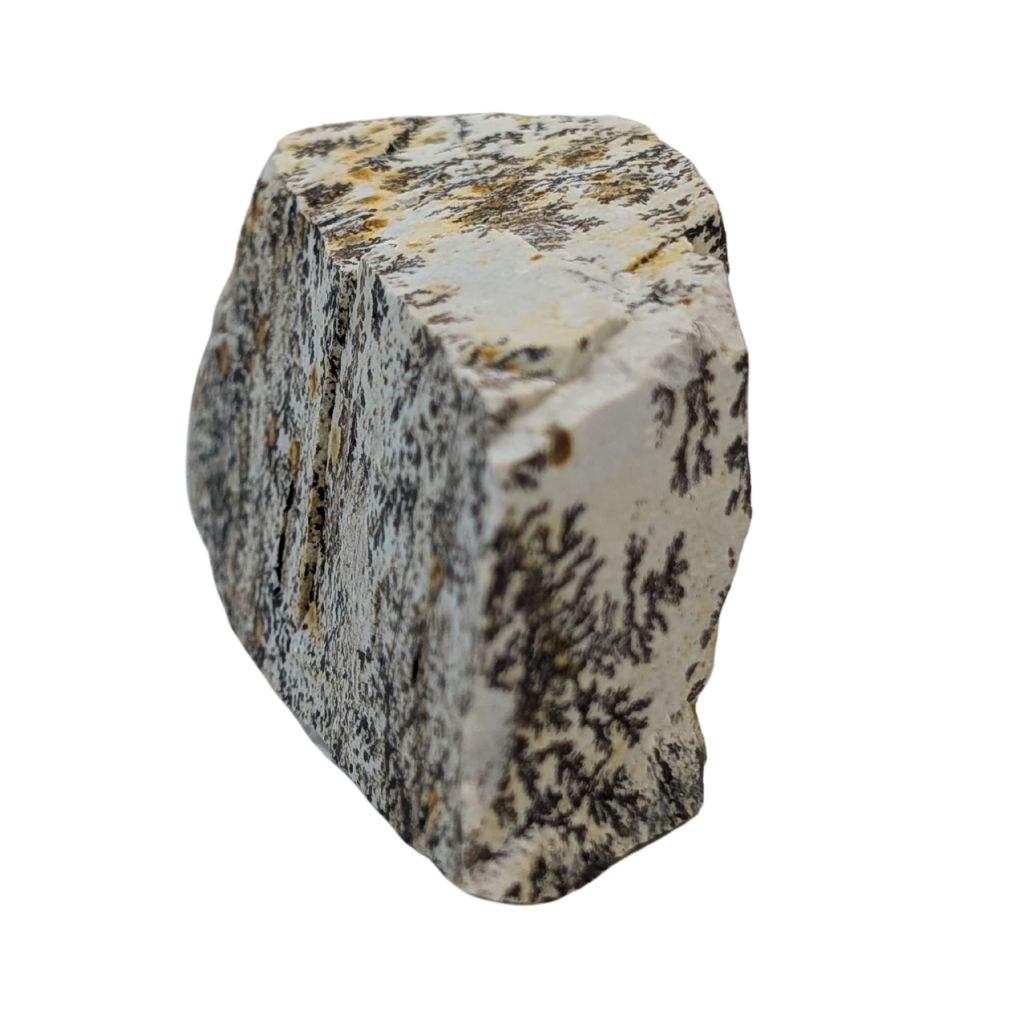 Free form in Dendrite 3 DENDRITE