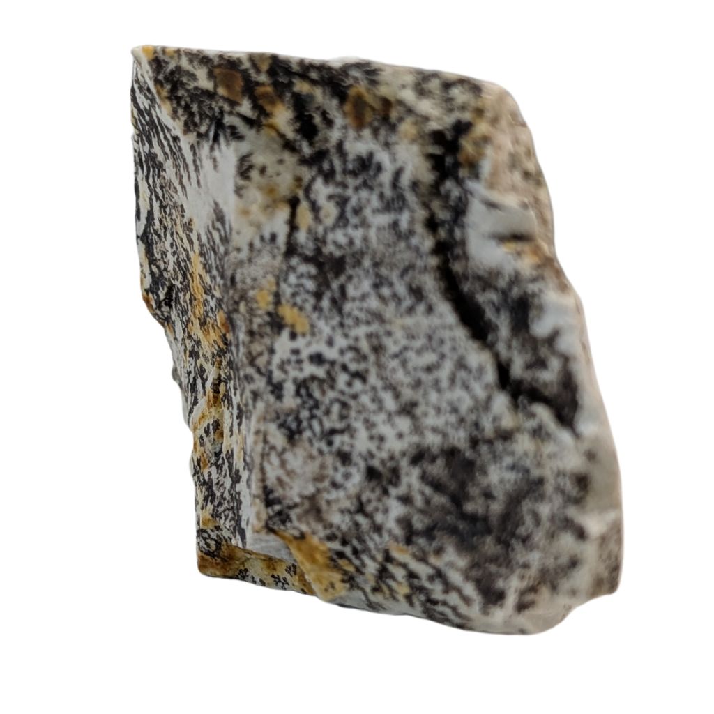 Free form in Dendrite 2 DENDRITE
