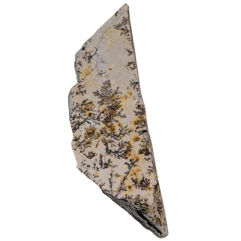 Free form in Dendrite 4 Free form in Dendrite - immagine 4