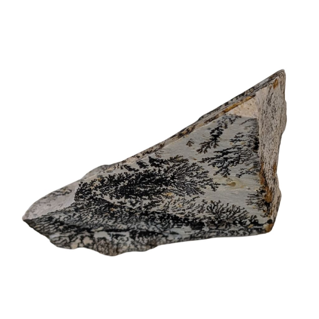 Free form in Dendrite 4 Free form in Dendrite - immagine 4