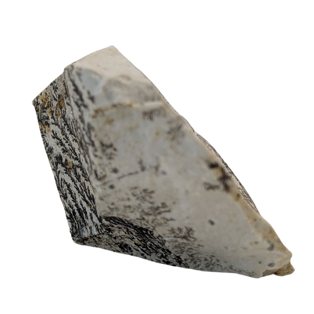 Free form in Dendrite 2 DENDRITE