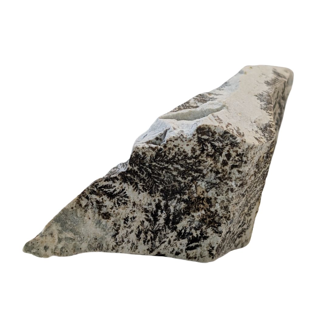 Free form in Dendrite 3 DENDRITE