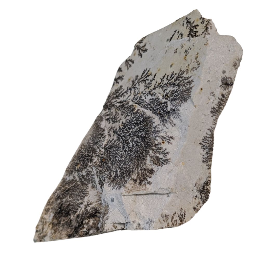 Free form in Dendrite 4 DENDRITE