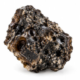 Agni manitite