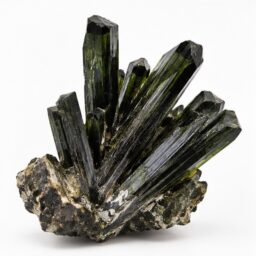 Egirina