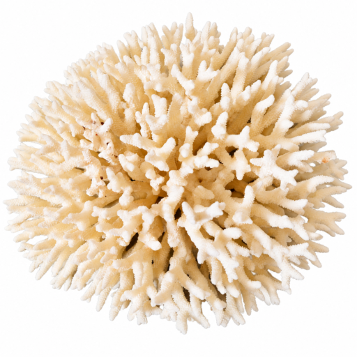 Corallo Acropora Ramificato